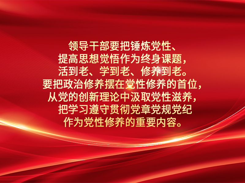2024年12月26日至27日，习近平在二十届中央政治局民主生活会上的讲话