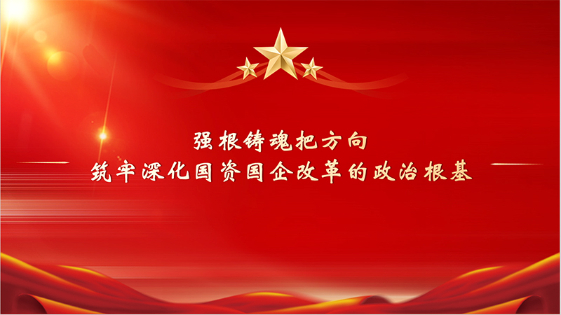 坚持党对国有企业的全面领导 以高质量党建引领保障国资国企改革落地见效