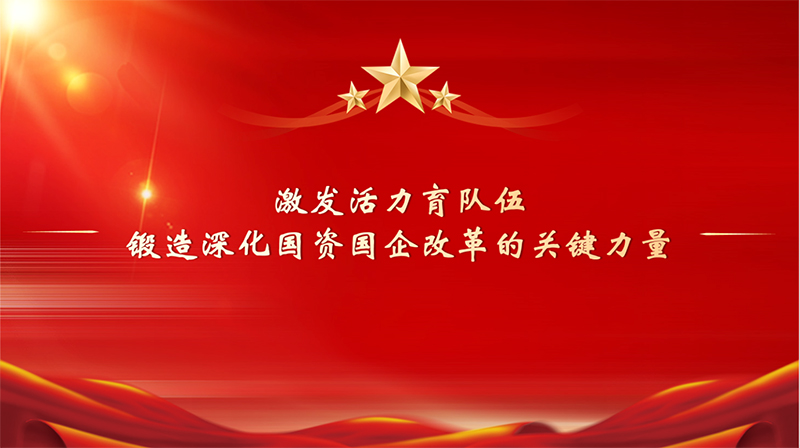 坚持党对国有企业的全面领导 以高质量党建引领保障国资国企改革落地见效