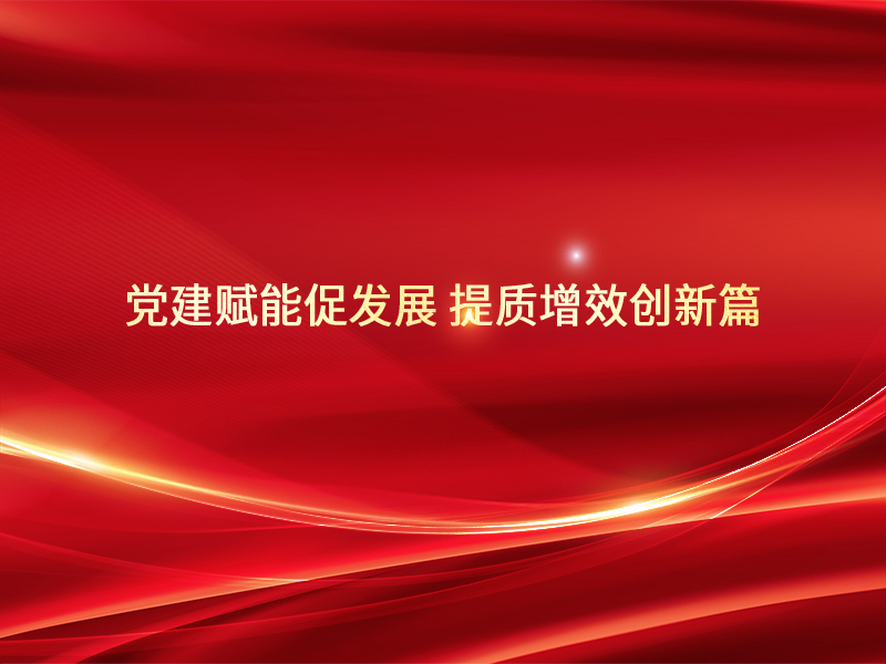党建赋能促发展 提质增效创新篇